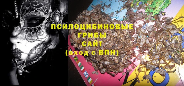 apvp Нея